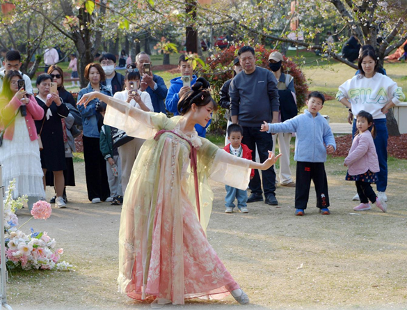 清明假期期間，上海顧村公園櫻花島上，游客在觀賞國風(fēng)漢服快閃表演。（圖片來源：視覺中國）