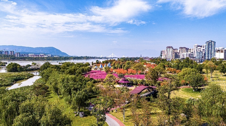 步入公園，仿佛走進(jìn)“色彩的世界”。王淦攝（資料圖片）